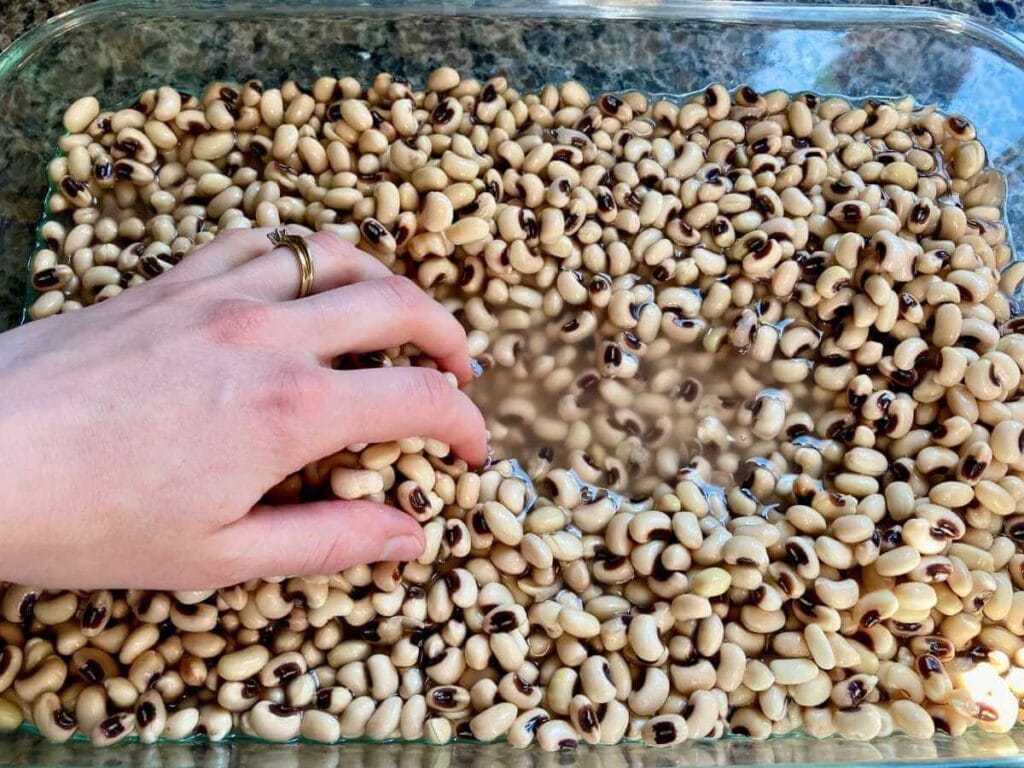Rinsing beans in a baking dish.