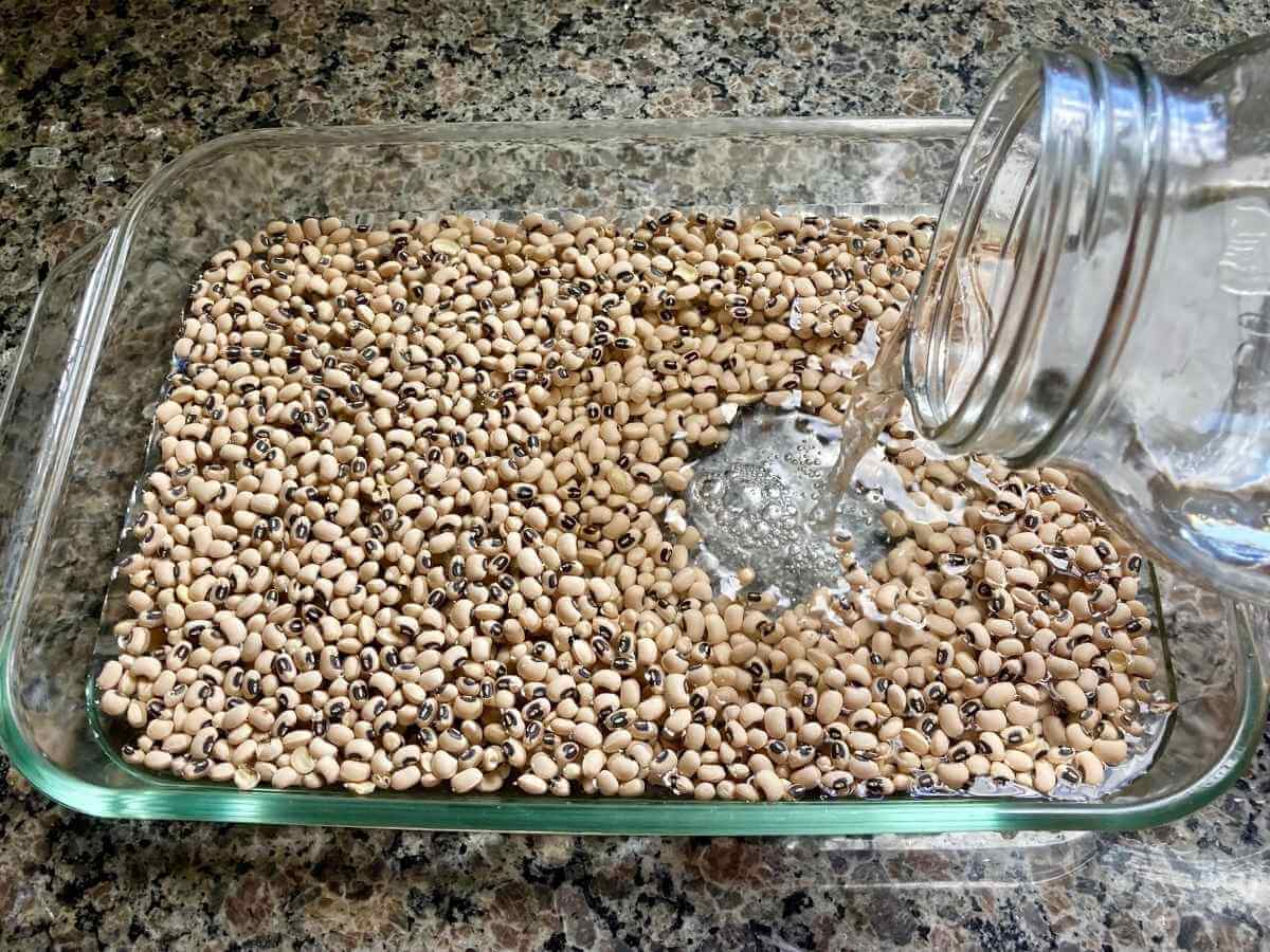 Pouring water over beans in a glass baking dish.