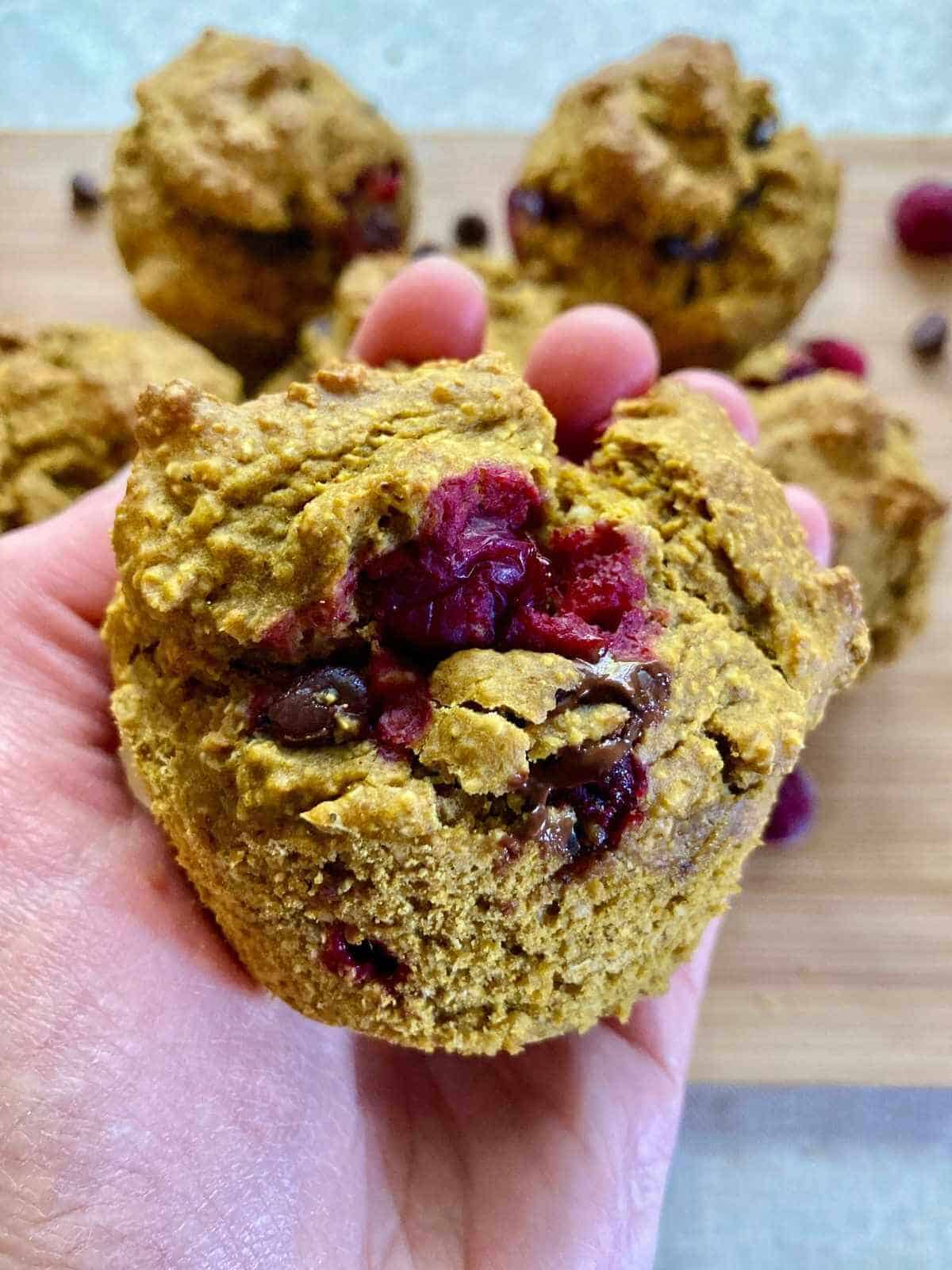 Hand holding pumpkin cranberry muffin.