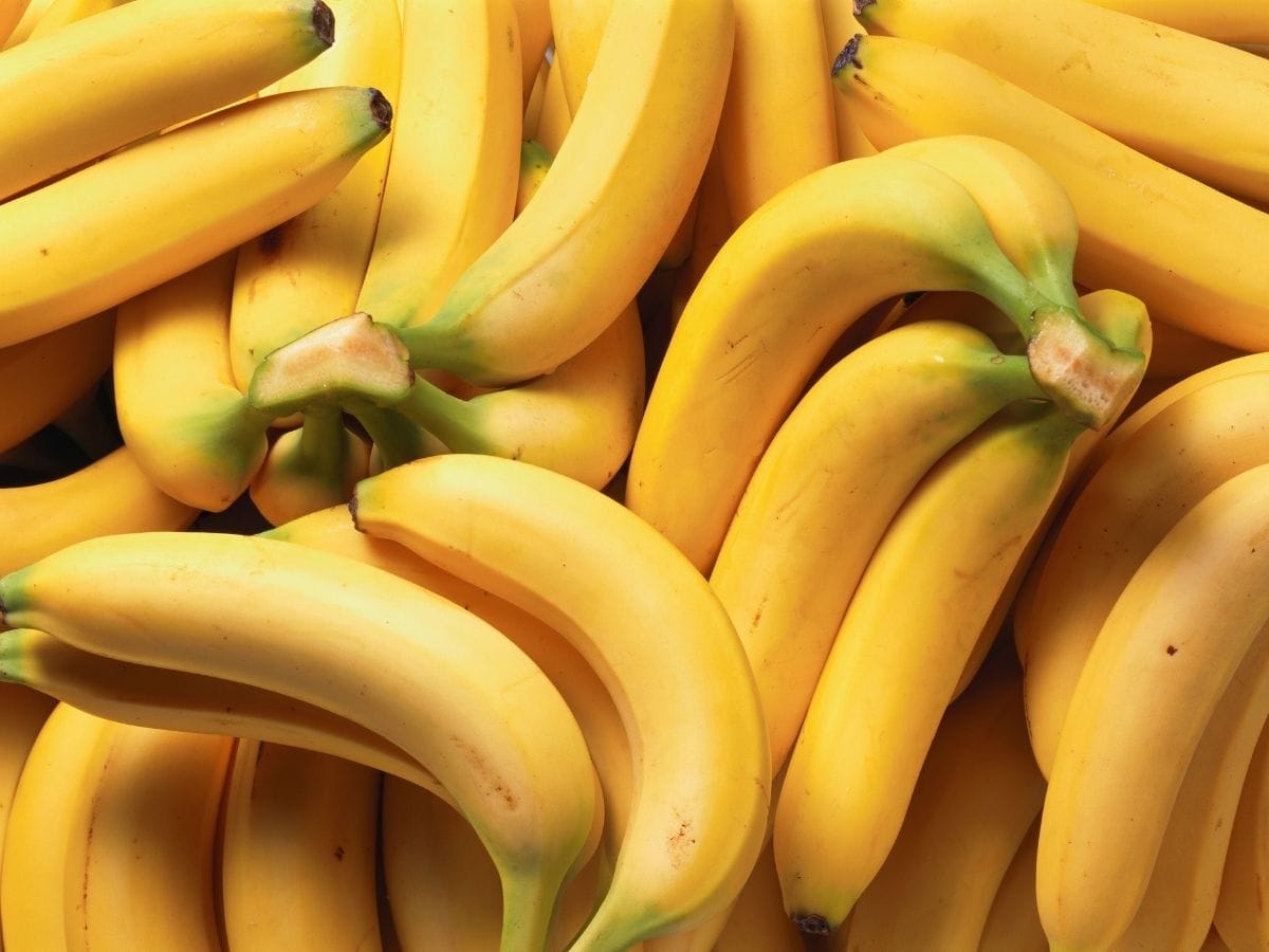 Pile of ripe bananas.