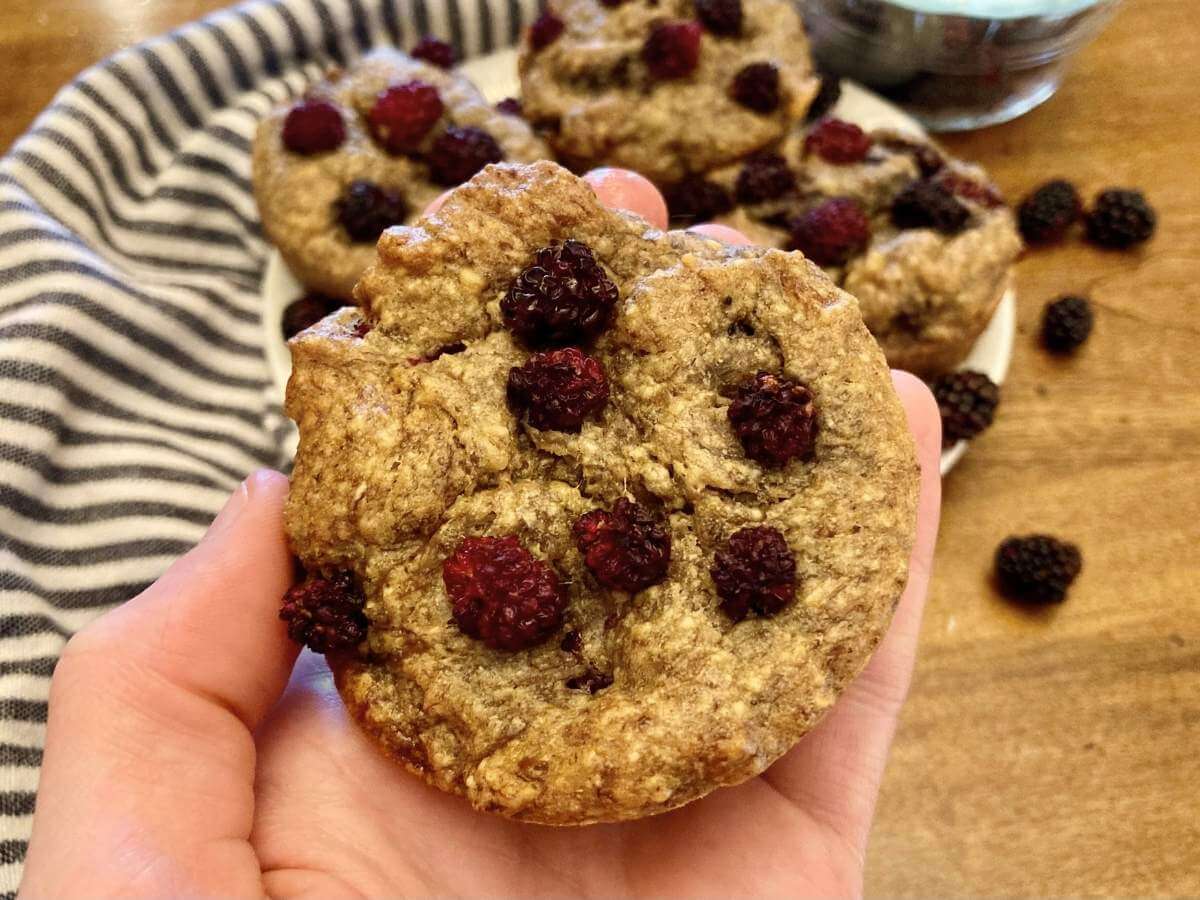 Hand holding blackberry banana breakfast muffin.