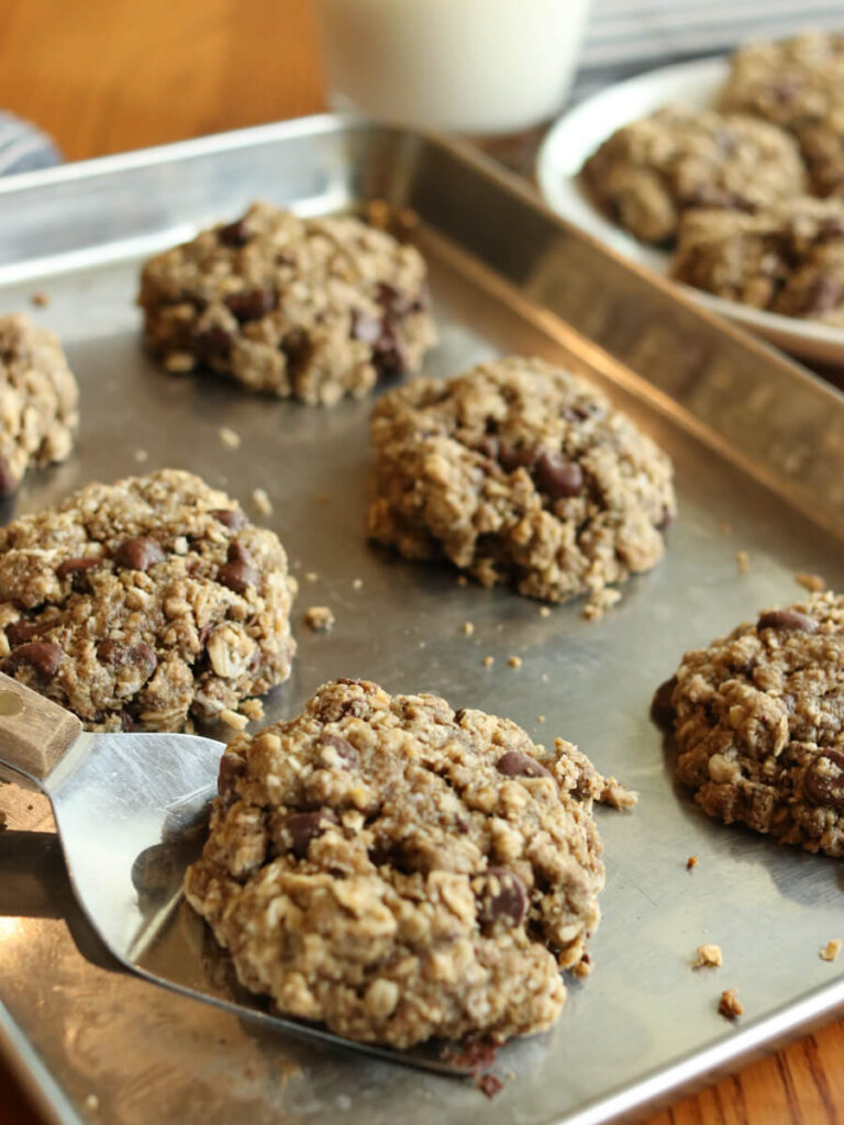 Oatmeal chocolate chip cookies on a cookie sheet with a spatula.