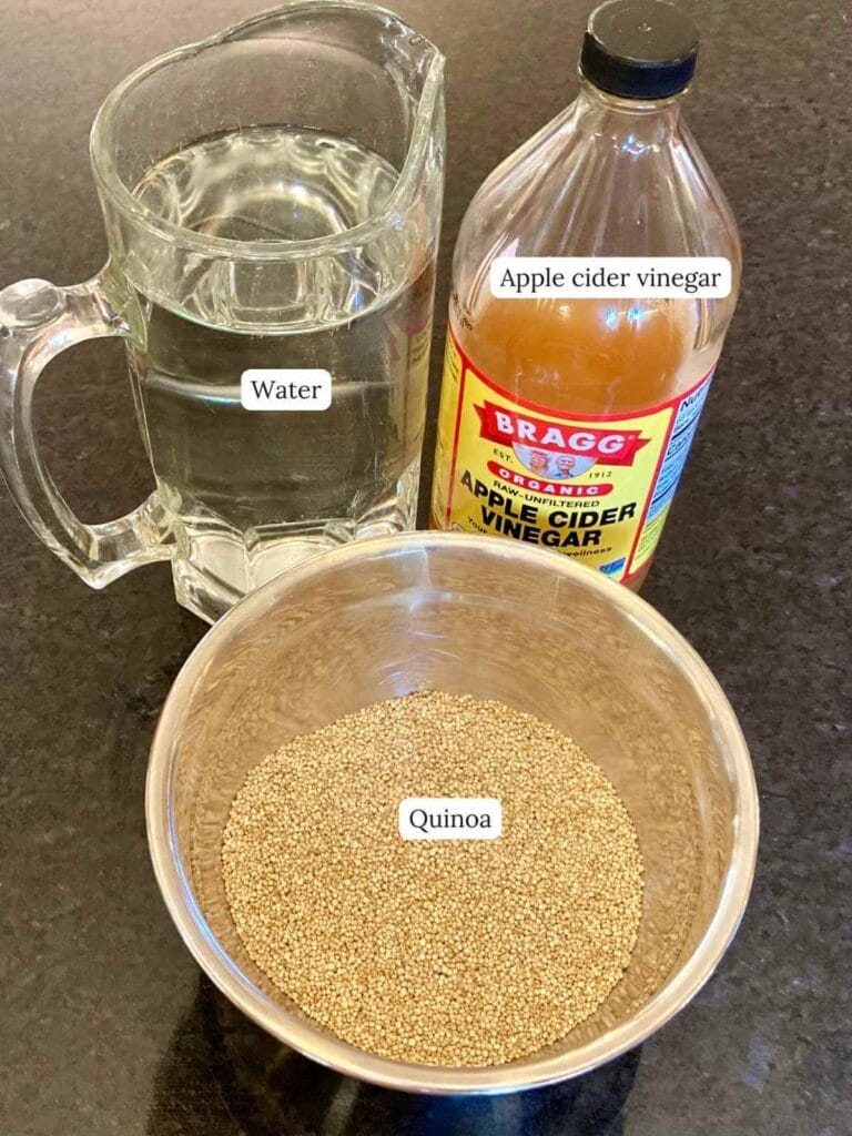 Quinoa, water, and apple cider vinegar on a black surface.