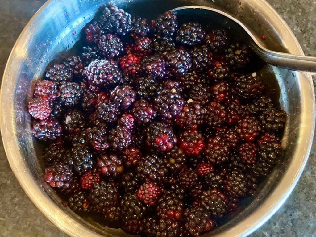 Blackberries in a bowl.