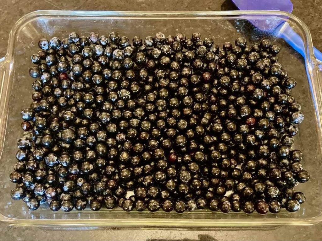 Blueberries in a baking dish.