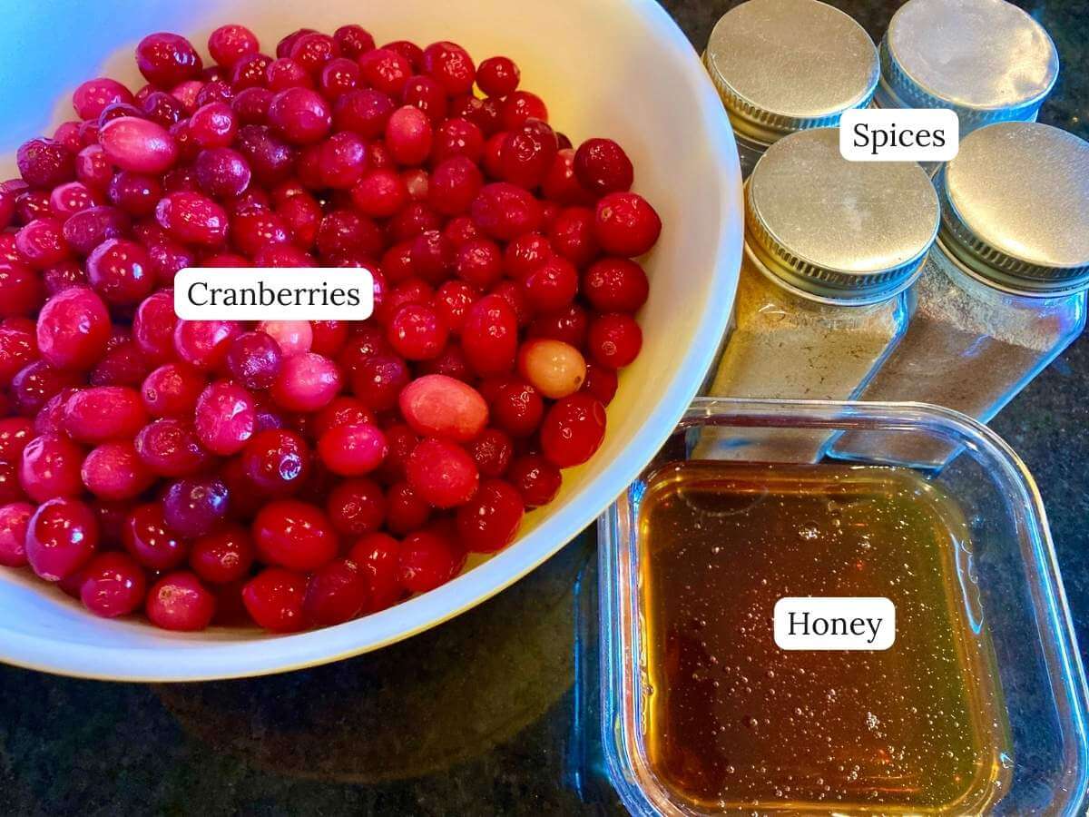 Ingredients for fermented cranberries on a counter.