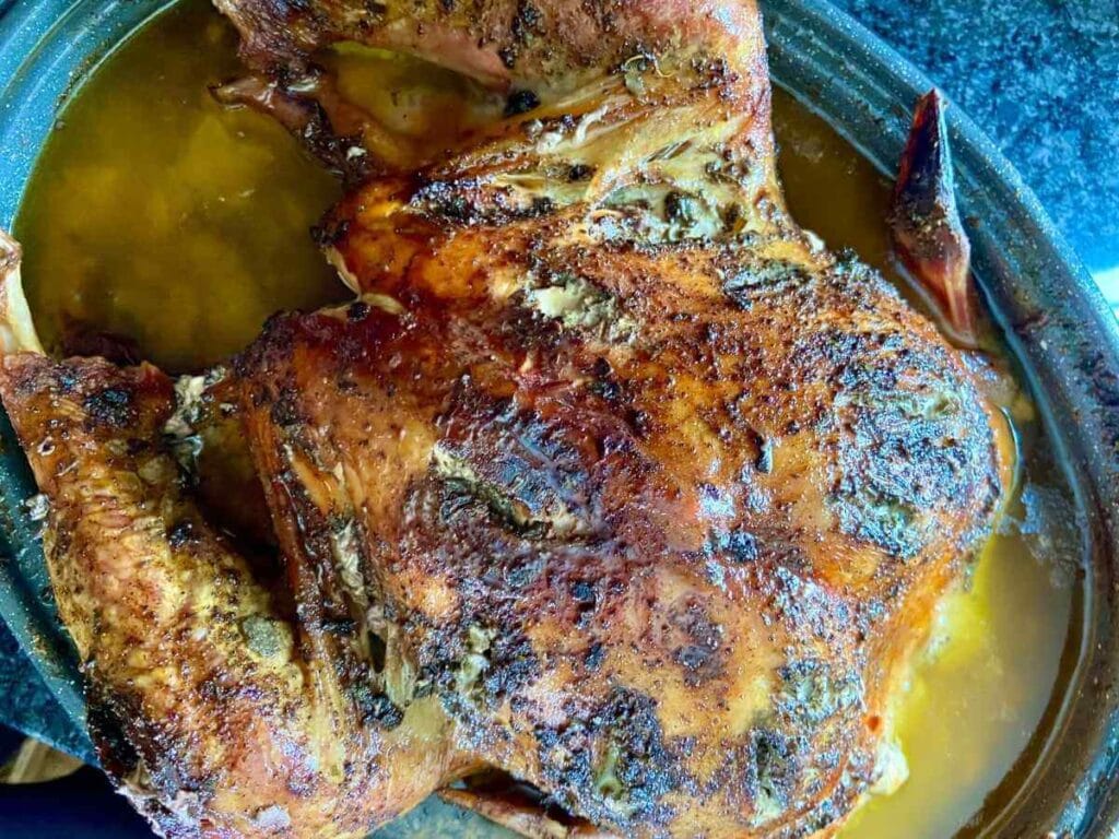 Thanksgiving turkey in a roasting pan after baking.