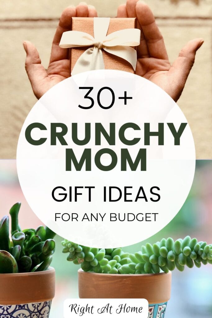Hands holding gift box and succulents in pots