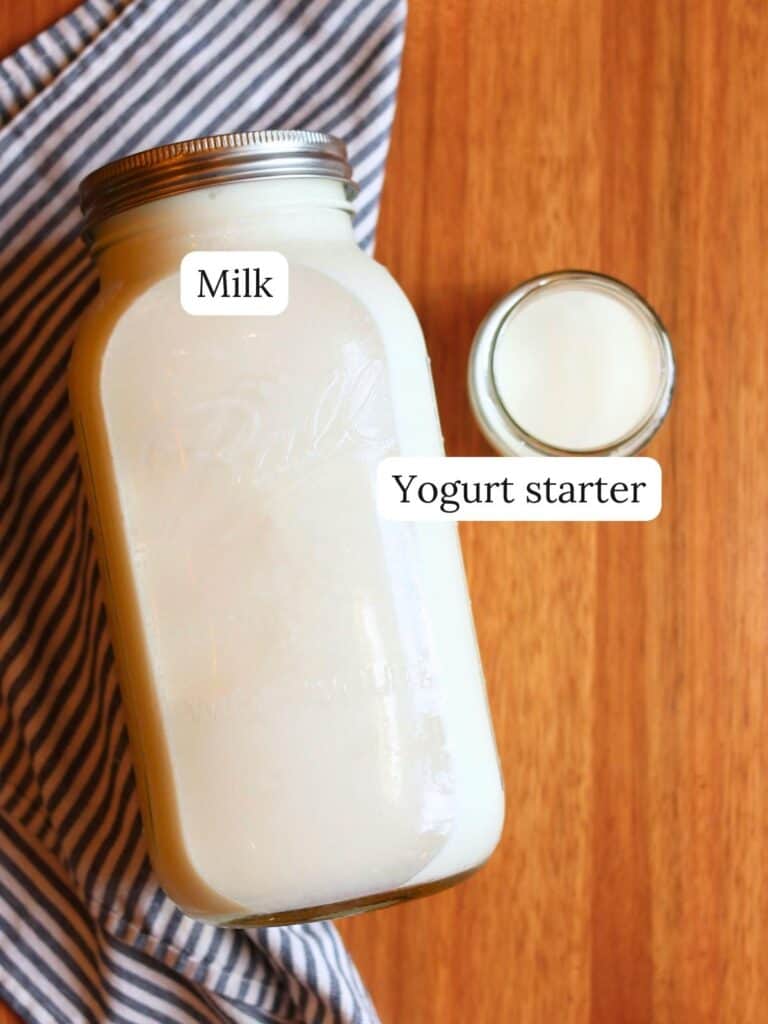 A large glass jar of milk and a small glass container of yogurt starter sit on a wooden table with a striped cloth.