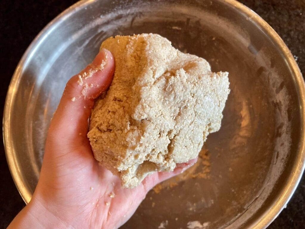 Hand holding oat flour pie crust dough