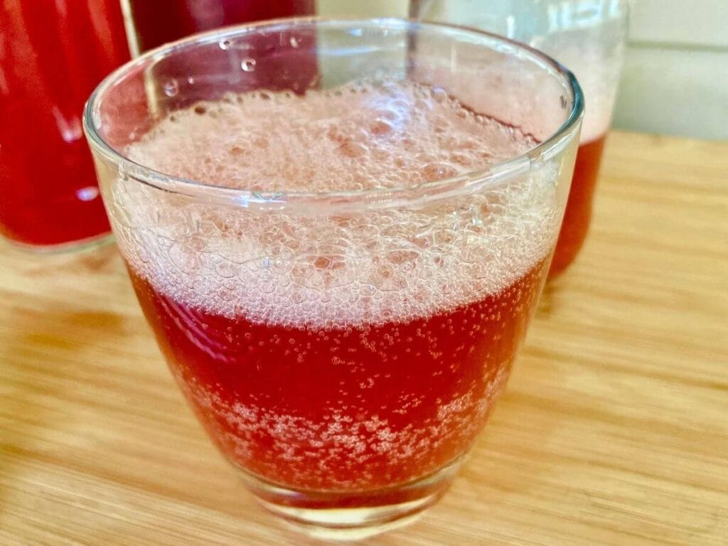 Water kefir fizzing in glass