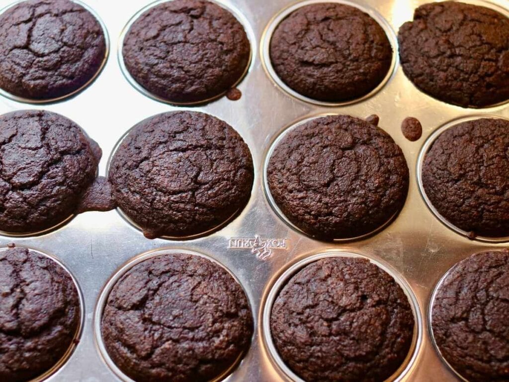 Baked chocolate cupcakes in muffin pan.
