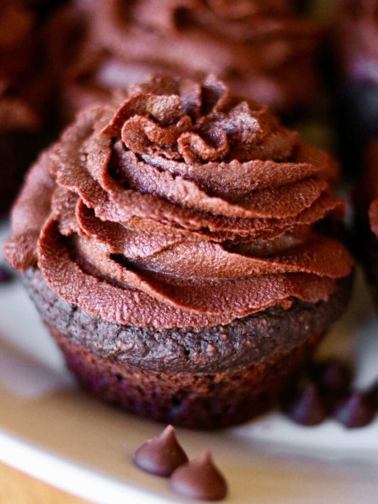 Closeup of a gluten-free vegan chocolate cupcake with chocolate chips.