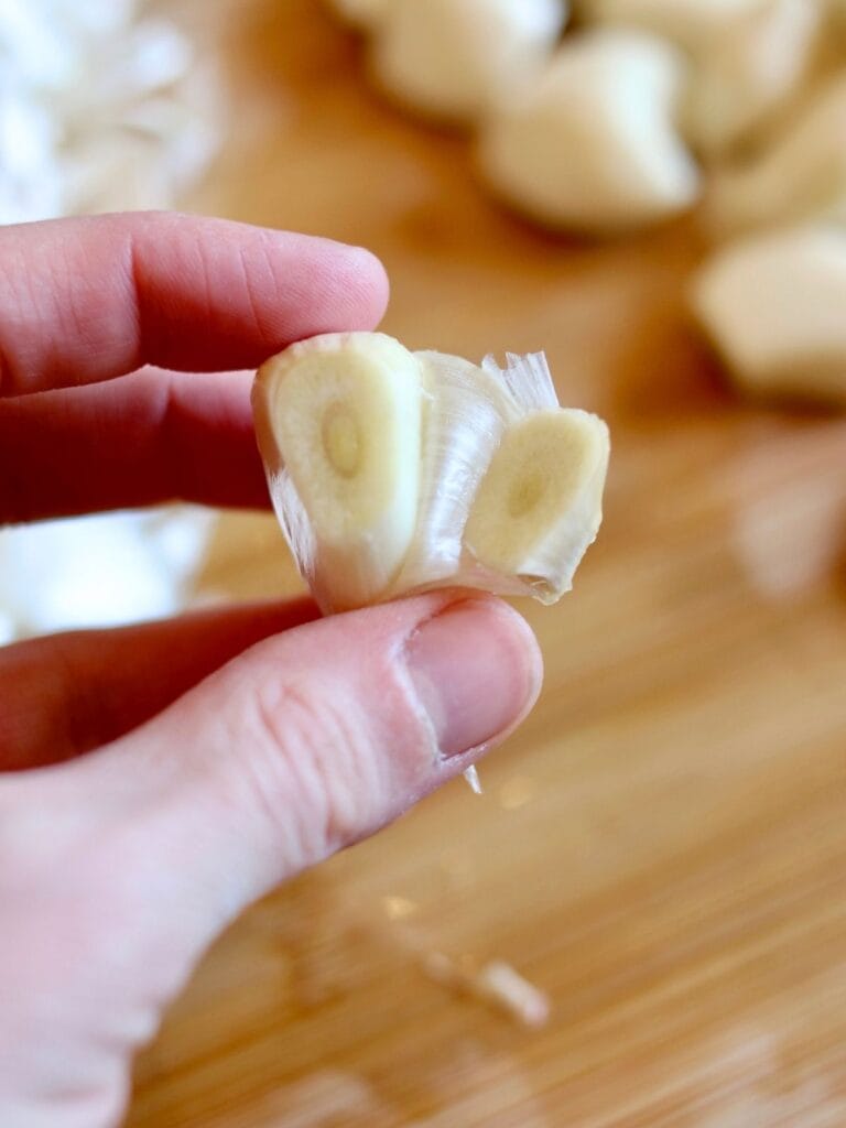 Peeling garlic clove.