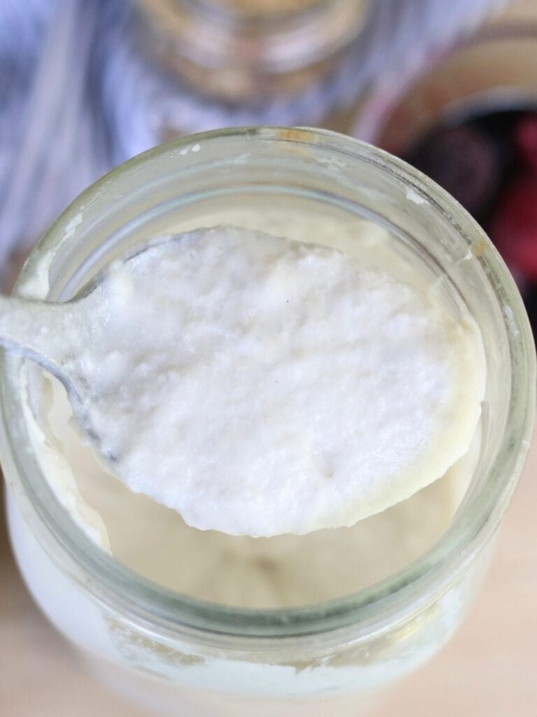 Scooping a spoonful of coconut yogurt out of a jar.