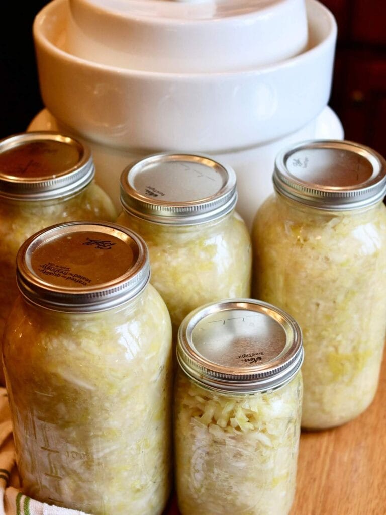 5 mason jars with sauerkraut beside a crock.