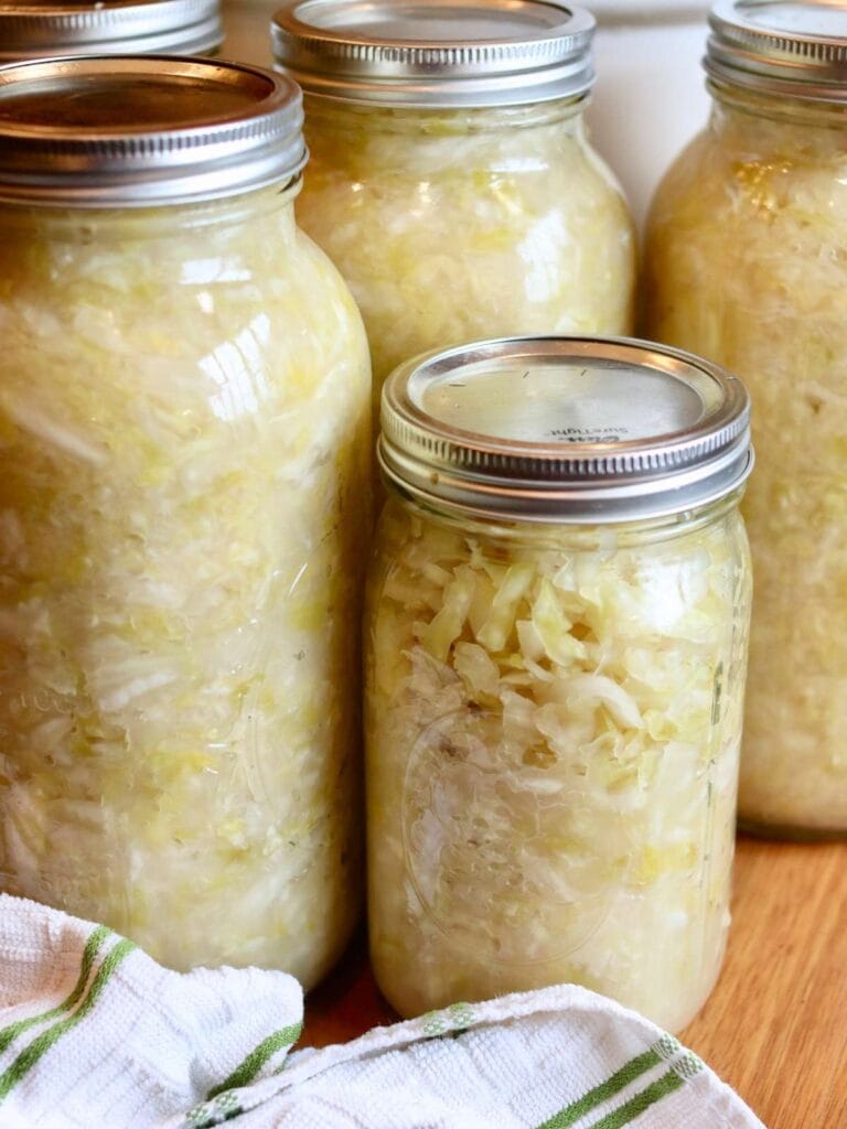 4 mason jars full of sauerkraut.