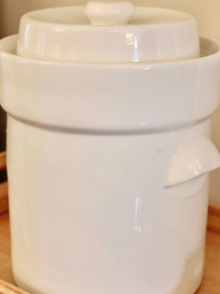 White fermenting crock full of sauerkraut.