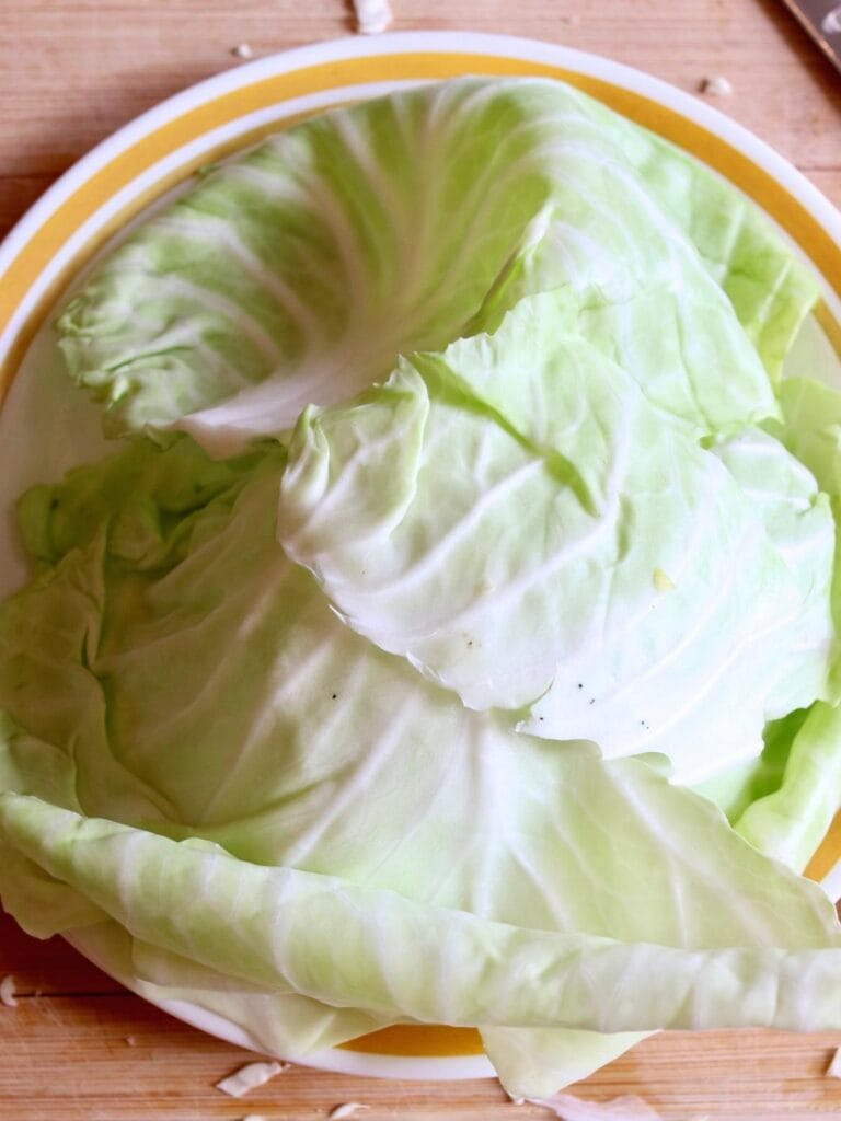 Cabbage leaves on a plate.