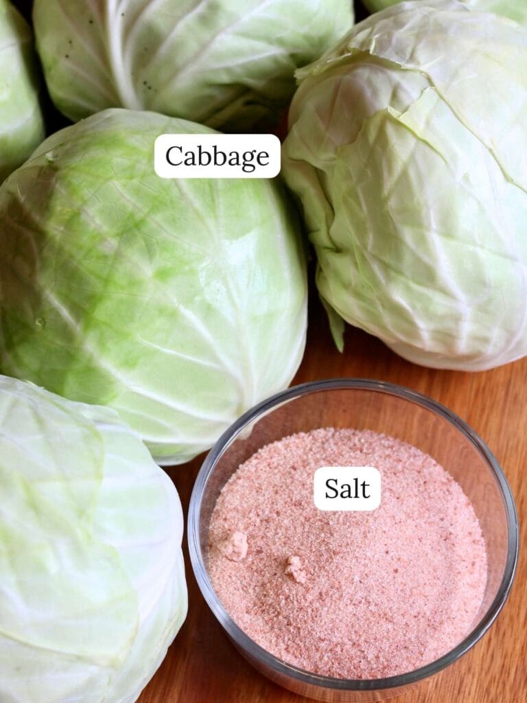 Ingredients for sauerkraut including cabbage and salt.