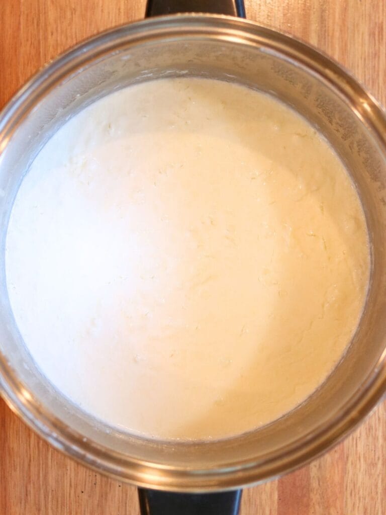 Fresh goat yogurt with the whey on top in a stainless steel pot.