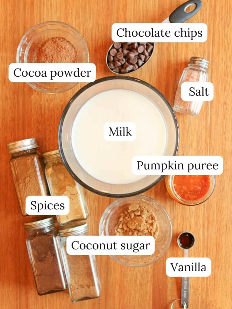 Labeled ingredients on a wooden surface including milk, cocoa powder, chocolate chips, salt, spices, coconut sugar, pumpkin puree, and vanilla.