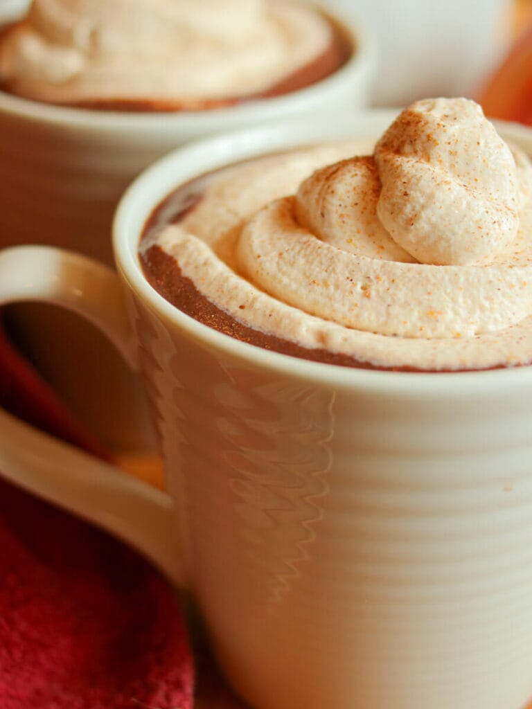 Closeup of a mug full of hot chocolate with pumpkin spice topped with pumpkin spice whipped cream.
