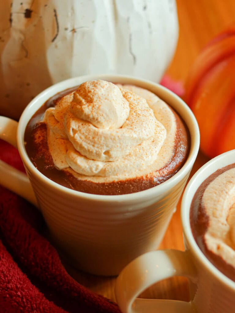 Closeup of a cup of pumpkin spice hot chocolate.