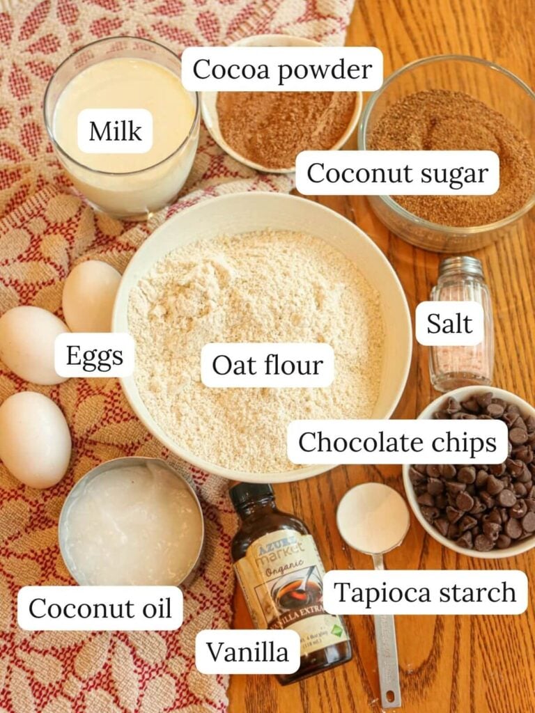 Labeled ingredients on a table with a red and white kitchen towel including milk, cocoa powder, coconut sugar, eggs, oat flour, salt, chocolate chips, coconut oil, vanilla, and tapioca starch.