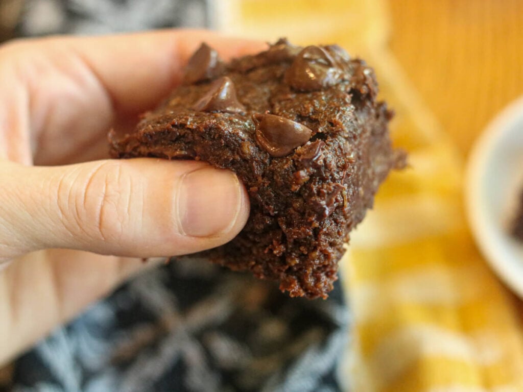 Hand holding a fudgy gluten, egg, and dairy-free brownie.