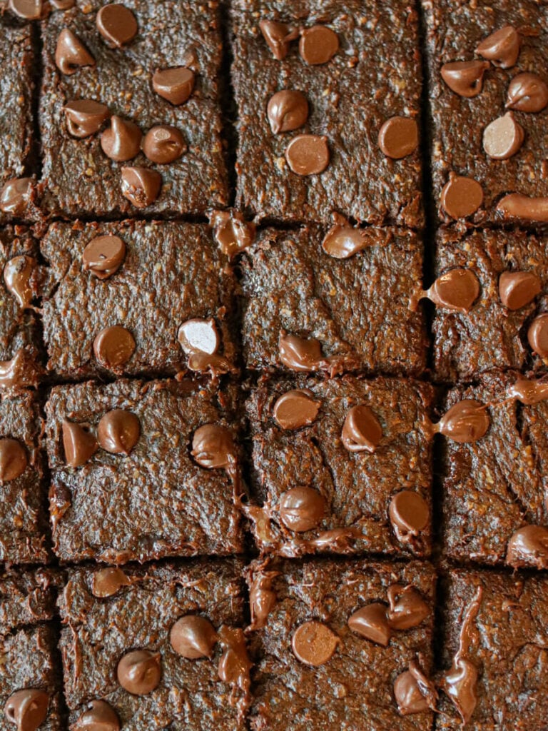 Gluten, dairy, and egg-free brownies topped with chocolate chips cut into squares.