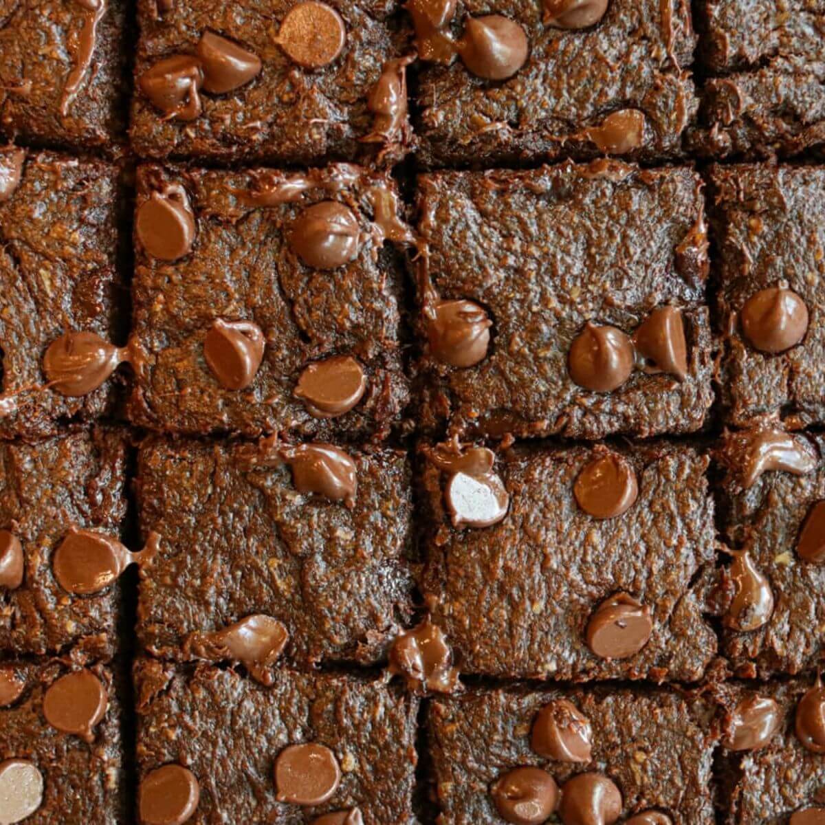 Closeup view of sliced gluten, dairy, and egg free brownies topped with chocolate chips.