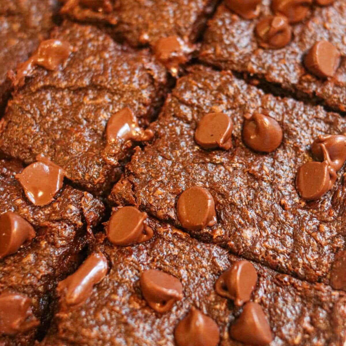 Close-up of sliced oat flour brownies topped with melty chocolate chips.